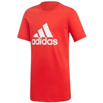 Lyhythihainen t-paita adidas  YB Logo  EU XL