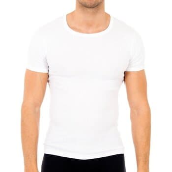 Aluspaidat Abanderado 0306-BLANCO EU L – Abanderado