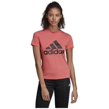 Lyhythihainen t-paita adidas  Must Haves Badge OF Sport  EU XS