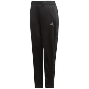 Jogging housut / Ulkoiluvaattee adidas  Messi  EU M