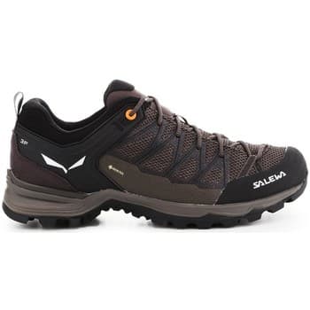 Kengät Salewa  Mtn Trainer Lite Gtx  41 – Salewa