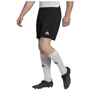 Shortsit & Bermuda-shortsit adidas  Entrada 22  EU L