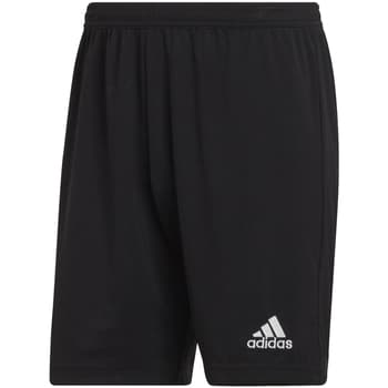 Shortsit & Bermuda-shortsit adidas  adidas Entrada 22 Shorts  EU S