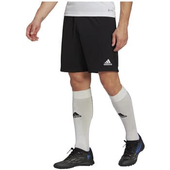 7/8 ja 3/4 housu adidas  adidas Entrada 22 Shorts  EU XS