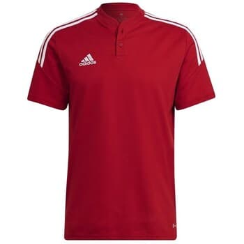 Lyhythihainen poolopaita adidas  Condivo 22  EU L – Adidas