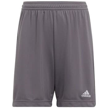 Shortsit & Bermuda-shortsit adidas  Entrada 22  EU L