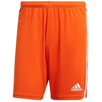 Shortsit & Bermuda-shortsit adidas  Squadra 21  EU XL – Adidas