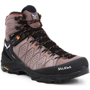 Kengät Salewa  MS Alp Trainer 2 Mid Gtx  42
