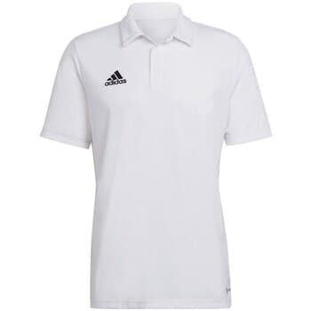 Lyhythihainen t-paita adidas  Entrada 22  EU XXL