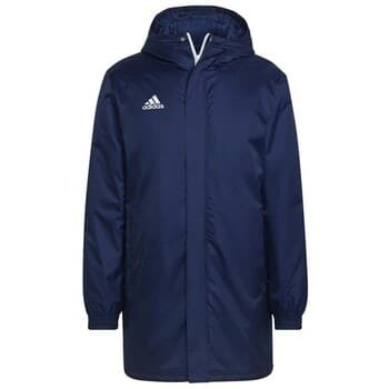 Parkatakki adidas  Entrada 22 Stadium  EU L