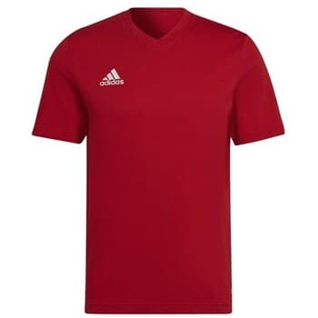 Lyhythihainen t-paita adidas  Entrada 22  EU S