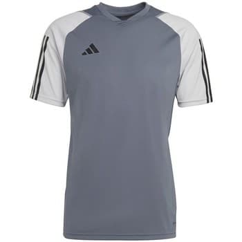 Lyhythihainen t-paita adidas  Tiro 23 Competition  EU XL