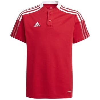 Lyhythihainen t-paita adidas  Tiro 21 Polo  EU L