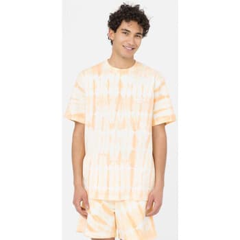 T-paidat & Poolot Dickies  Westfir tee ss  EU L – Dickies