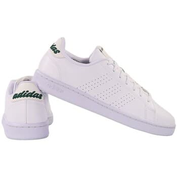 Kengät adidas  Advantage  42 – Adidas