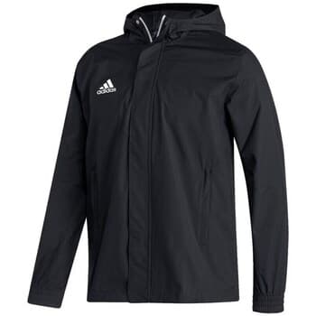 Ulkoilutakki adidas  Entrada 22 All Weather  EU 3XL – Adidas