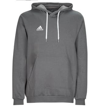 Hupparit adidas  ENT22 HOODY  EU L