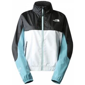 Tuulitakit The North Face  NF0A825DIKF1  EU M – The North Face