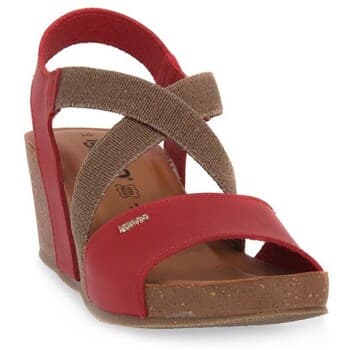 Korokepohjaiset sandaalit IgI&CO  Laurita Rosso  37