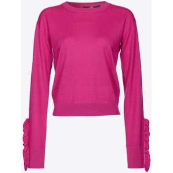 Neulepusero Pinko  101991A189  IT XS – Pinko