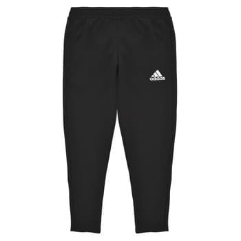 Jogging housut / Ulkoiluvaattee adidas  ENT22 TR PNT Y  7 / 8 vuotta – Adidas