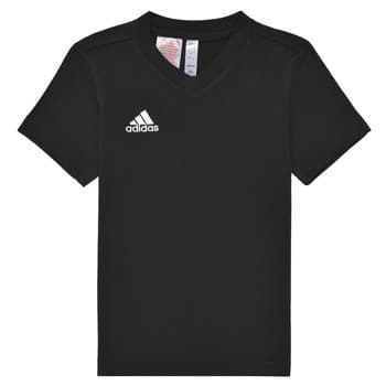 Lyhythihainen t-paita adidas  ENT22 TEE Y  UK S – Adidas