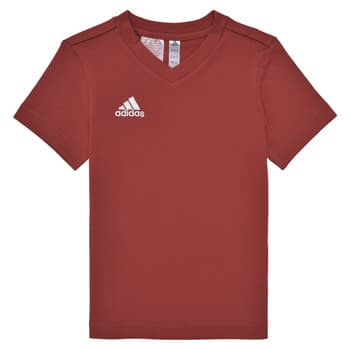 Lyhythihainen t-paita adidas  ENT22 TEE Y  13 / 14 vuotta