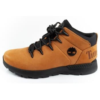 Kengät Timberland  TB0A2FEP231  41 1/2
