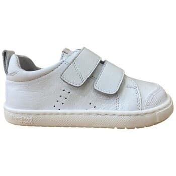 Tennarit Blanditos  Blanditos de Crío's  RIO PUNTERA Blanco  33 – Blanditos