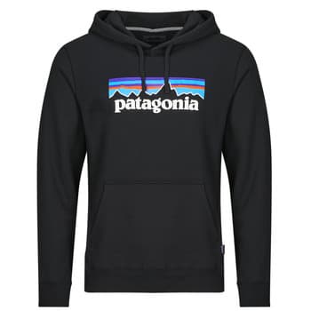 Hupparit Patagonia P-6 Logo Uprisal Hoody EU M – Patagonia