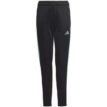 Housut adidas  Tiro 23 Club Training  EU S – Adidas