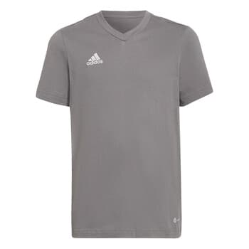 Lyhythihainen t-paita adidas  HC0444  EU M
