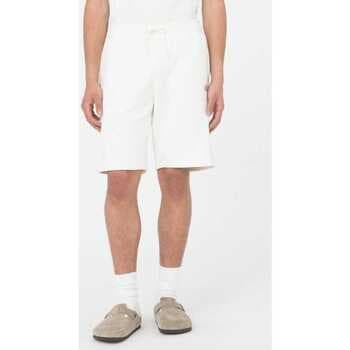 Shortsit & Bermuda-shortsit Dickies  Mapleton short  EU M