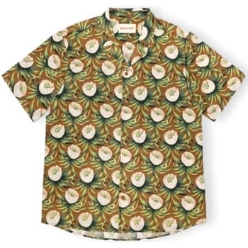 Pitkähihainen paitapusero Revolution  RVLT  Shirt 3912 - Brown  EU L – Revolution