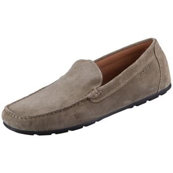 Kengät IgI&CO  Militare Scamoscio  40