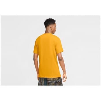 Lyhythihainen t-paita Nike  Giannis Swoosh Freak Dri-fit  EU M