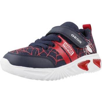 Tennarit Geox  Zapatillas Niño Modèle J Assister B  36