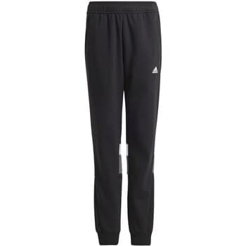 Jogging housut / Ulkoiluvaattee adidas  IS2531  EU XS