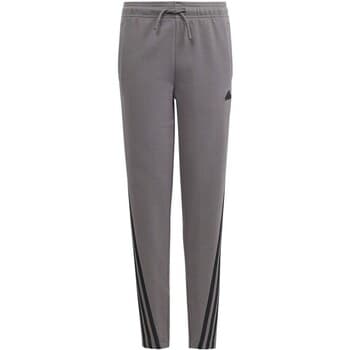 Jogging housut / Ulkoiluvaattee adidas  IS4419  EU M