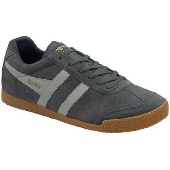 Kengät Gola  Harrier Suede Leder  42