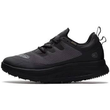 Kengät Keen  Wk400 Wp  39 1/2