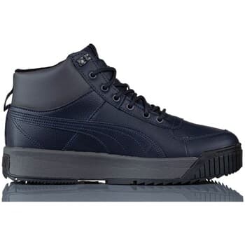 Kengät Puma  Tarrenz Sb Puretex  41