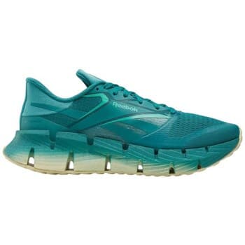 Kengät Reebok Sport  Floatzig 1  45