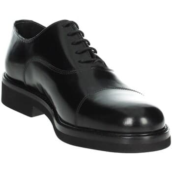 Kengät Veni  EC002  43