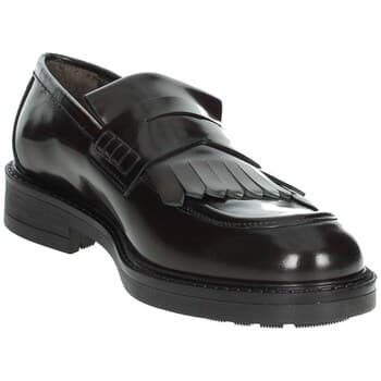 Kengät Veni  DP045  43