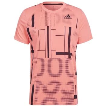 Lyhythihainen t-paita adidas  Graphic Tee  EU S
