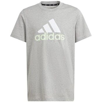 Lyhythihainen t-paita adidas  Essentials  EU XL