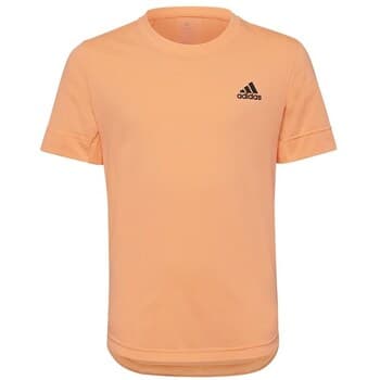 Lyhythihainen t-paita adidas  HN0094  EU XL
