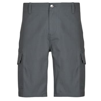 Shortsit & Bermuda-shortsit Dickies  MILLERVILLE SHORT  US 30