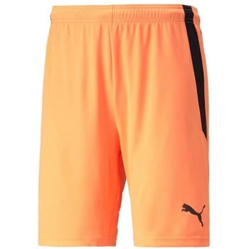 7/8 ja 3/4 housu Puma  Teamliga  EU XL